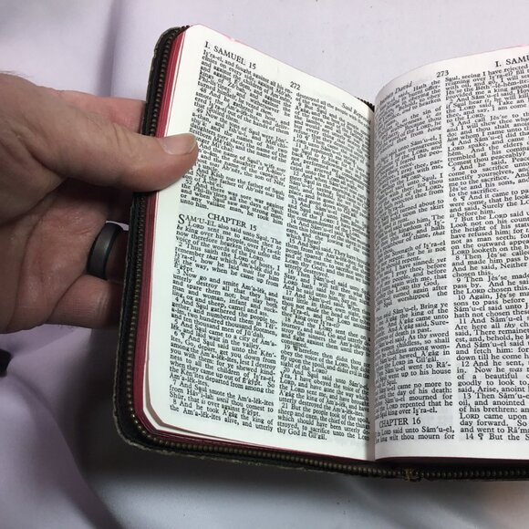 Holy Bible Illustrated KJV Self-Pronouncing Edition Zippered World Pub Vintage - Picture 12 of 15